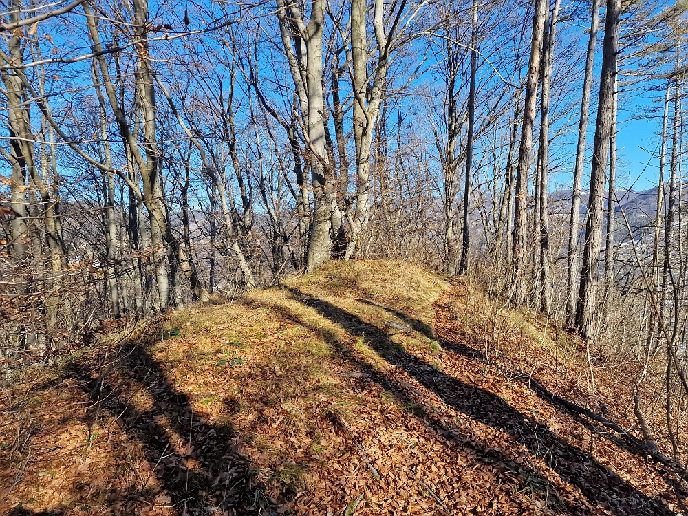Slika je vidna v Google Chromu.