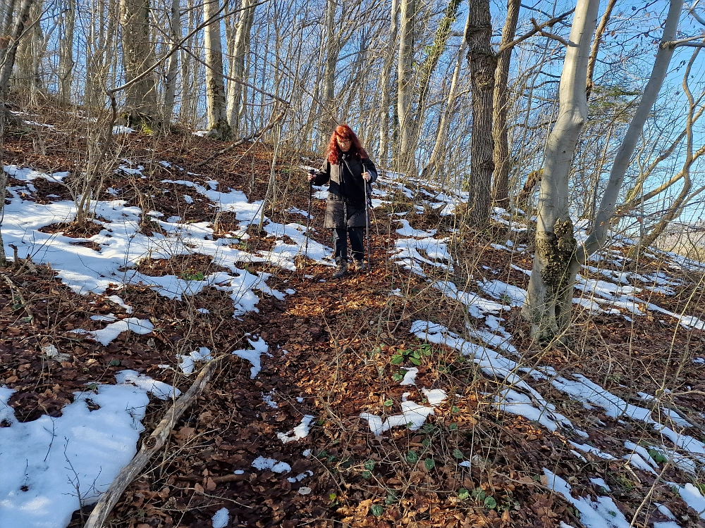 Slika je vidna v Google Chromu.