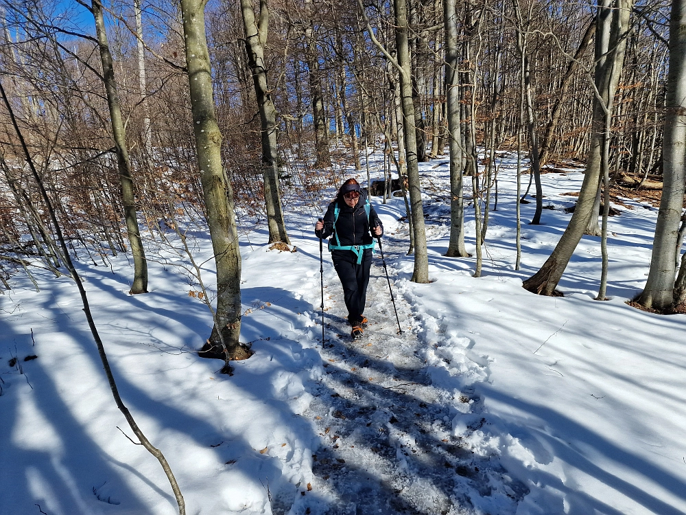 Slika je vidna v Google Chromu.