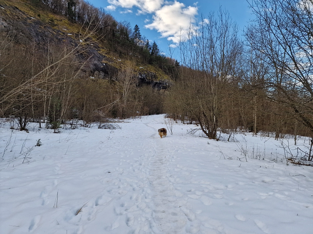 Slika je vidna v Google Chromu.