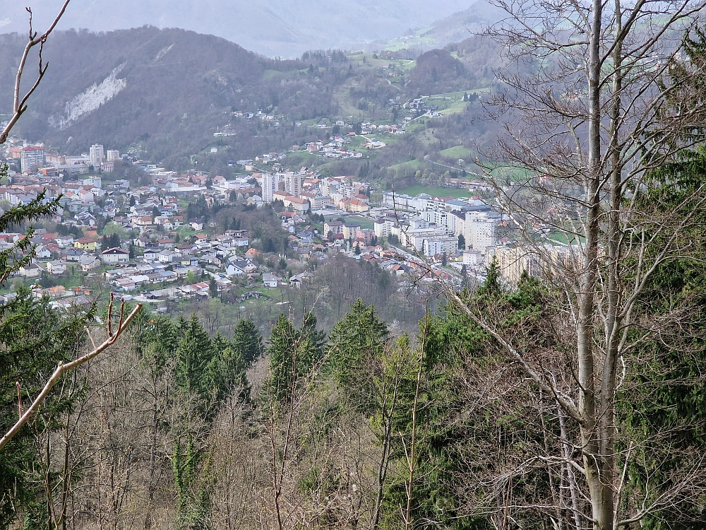 Slika je vidna v Google Chromu.
