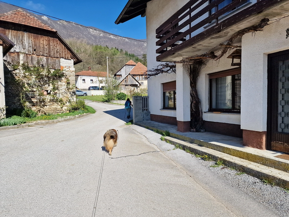 Slika je vidna v Google Chromu.