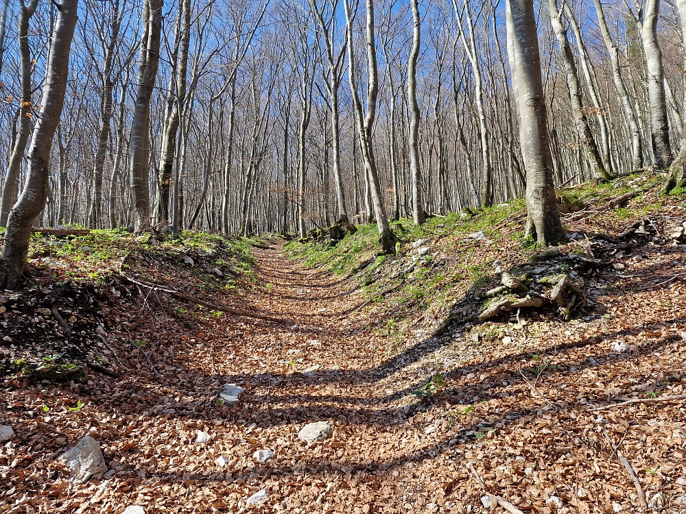Slika je vidna v Google Chromu.