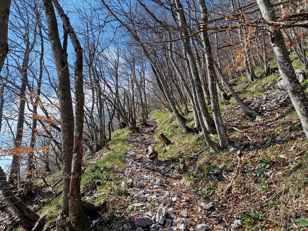 Slika je vidna v Google Chromu.