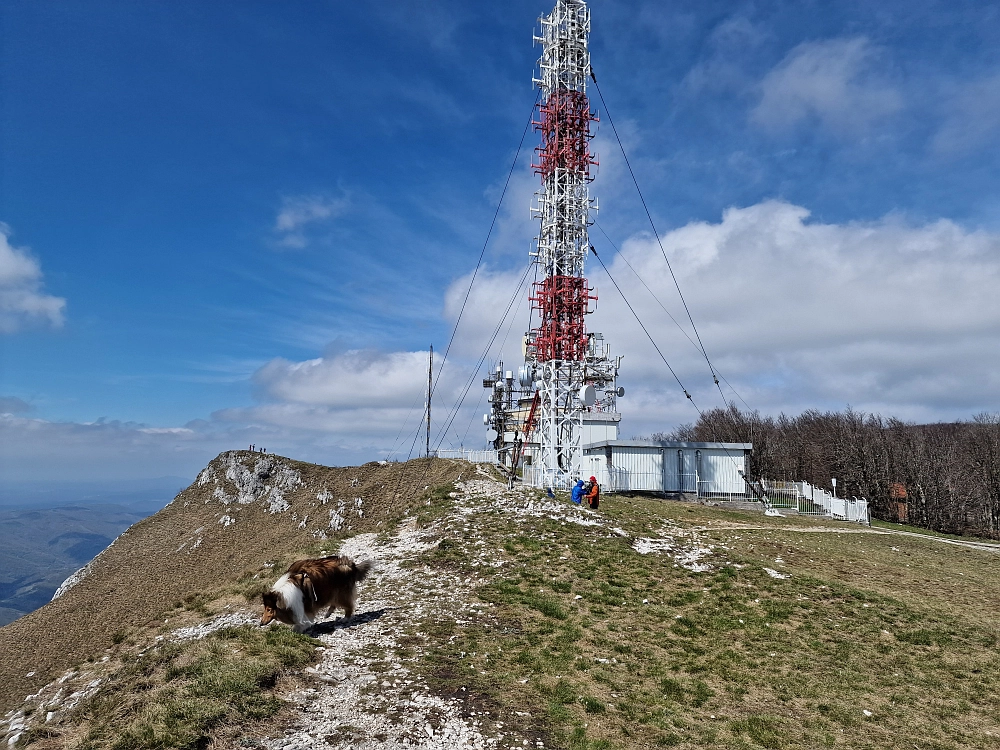 Slika je vidna v Google Chromu.