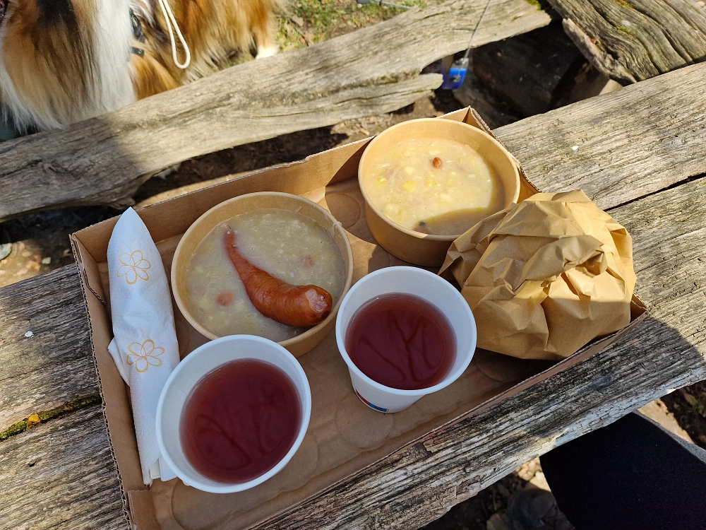 Slika je vidna v Google Chromu.