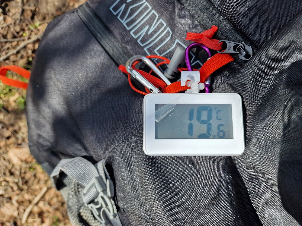 Slika je vidna v Google Chromu.