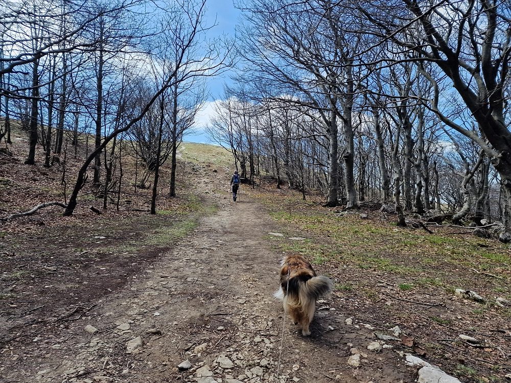 Slika je vidna v Google Chromu.