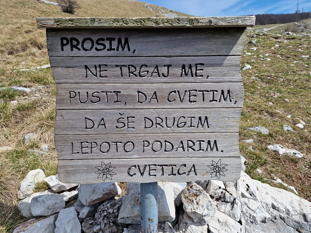 Slika je vidna v Google Chromu.