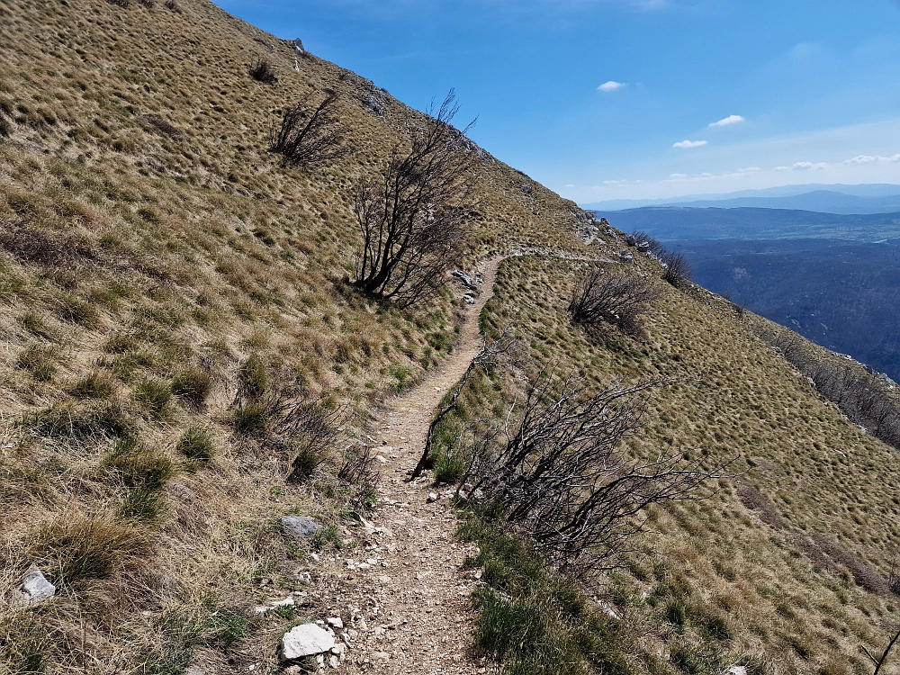 Slika je vidna v Google Chromu.