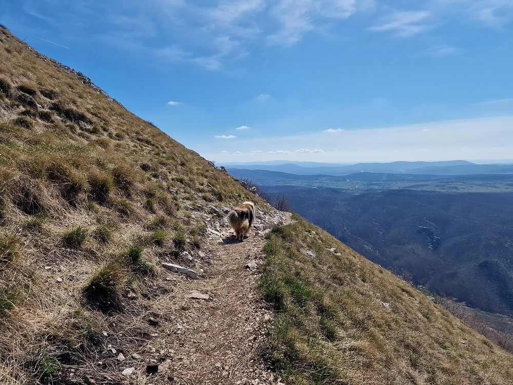 Slika je vidna v Google Chromu.
