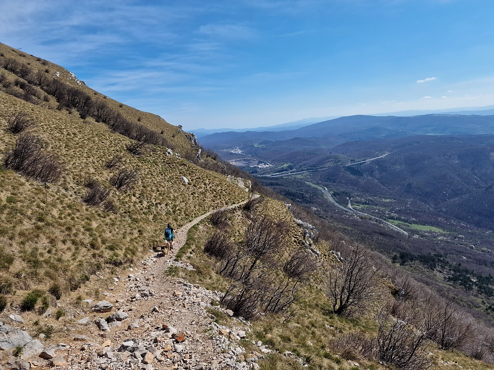 Slika je vidna v Google Chromu.