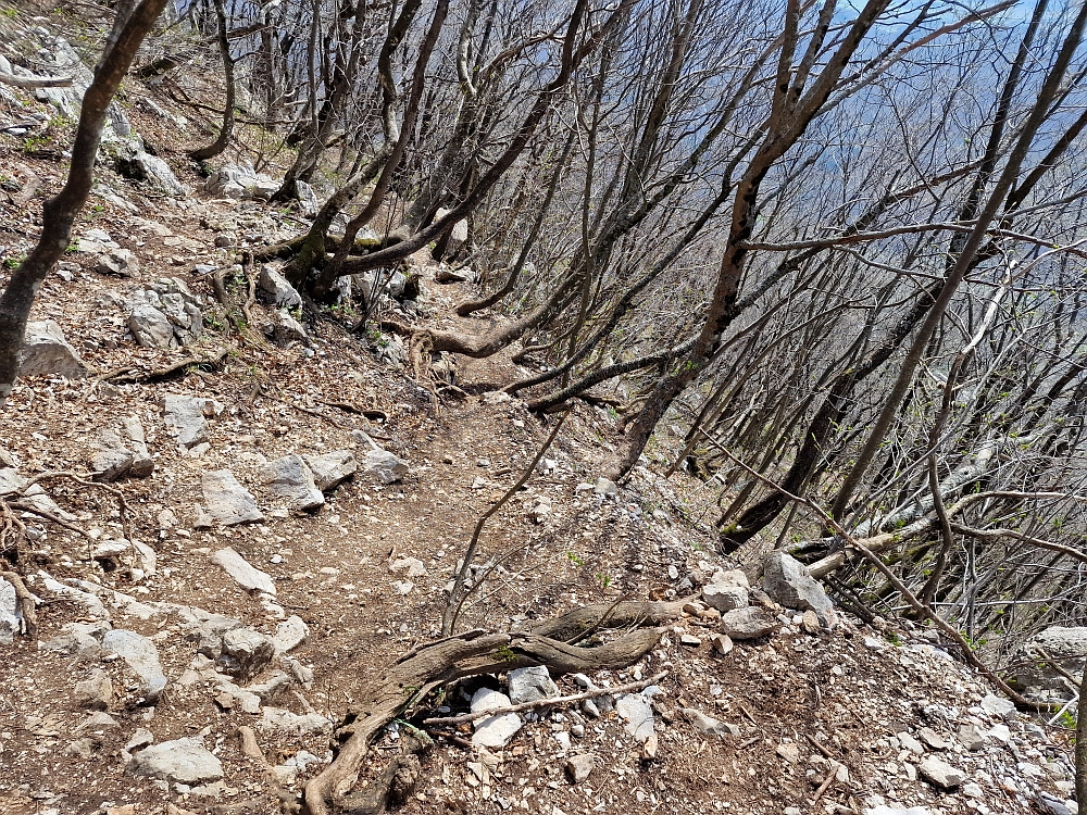 Slika je vidna v Google Chromu.