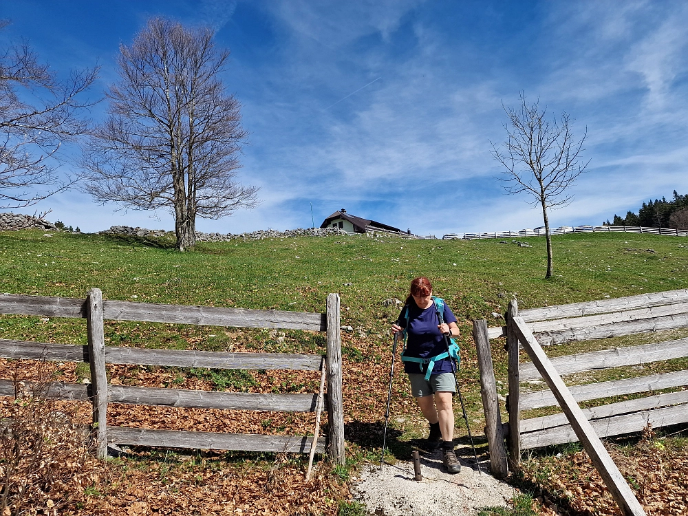 Slika je vidna v Google Chromu.