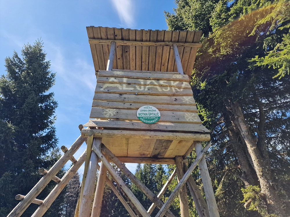 Slika je vidna v Google Chromu.