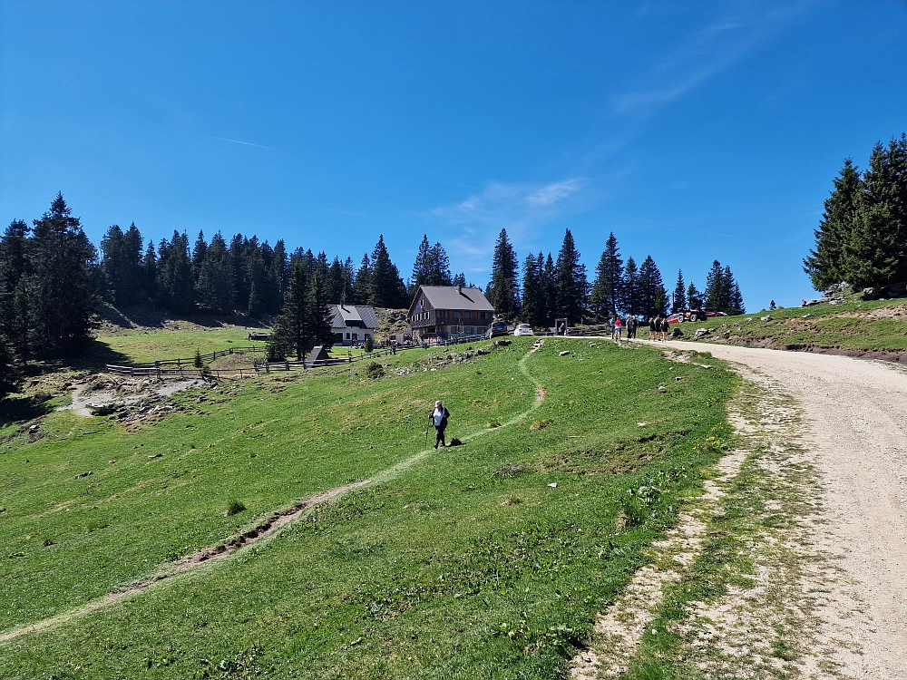 Slika je vidna v Google Chromu.