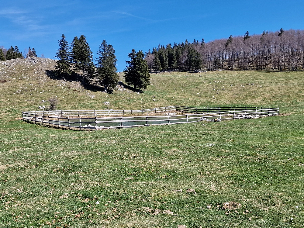 Slika je vidna v Google Chromu.