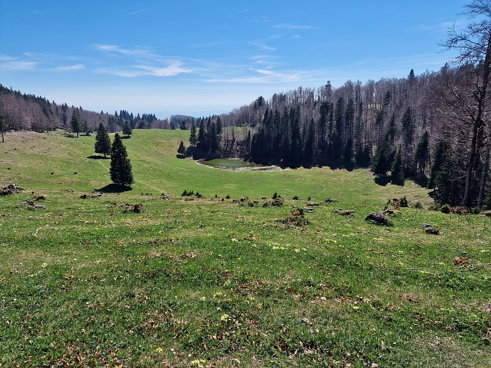 Slika je vidna v Google Chromu.