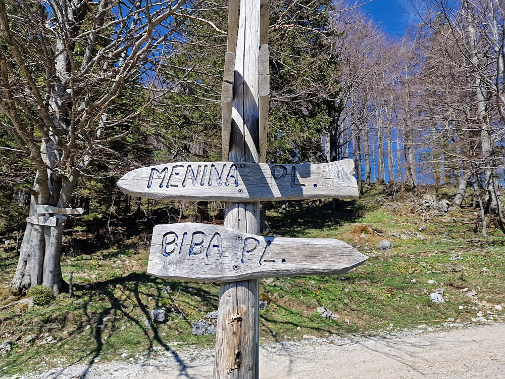 Slika je vidna v Google Chromu.