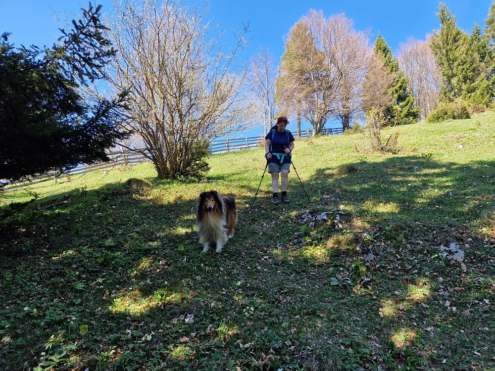 Slika je vidna v Google Chromu.