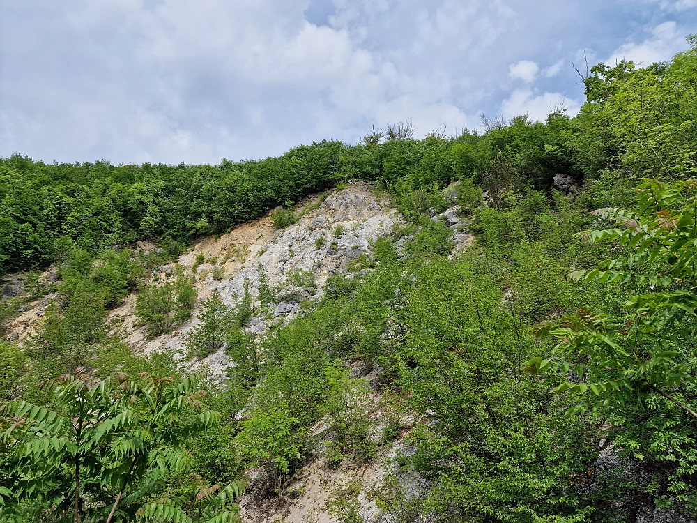 Slika je vidna v Google Chromu.