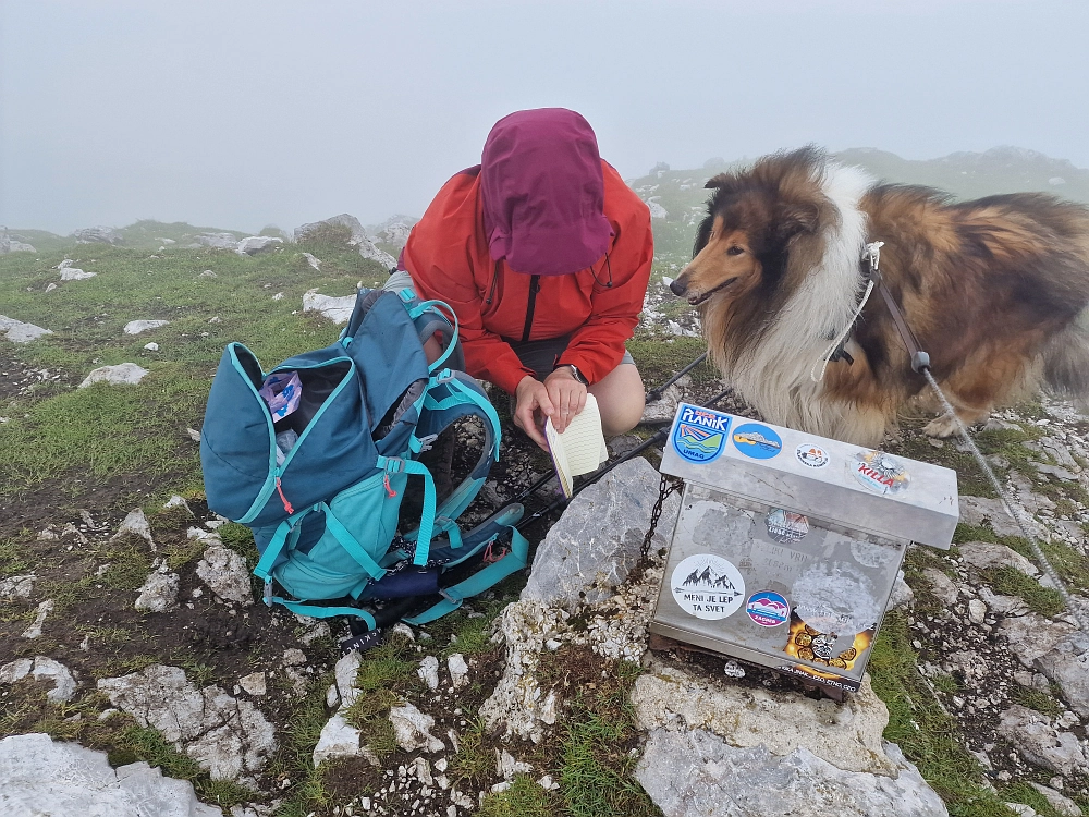 Slika je vidna v Google Chromu.
