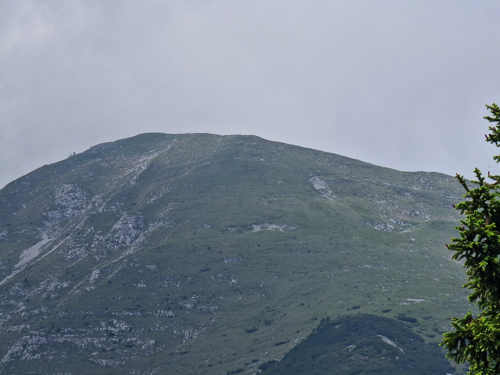 Slika je vidna v Google Chromu.