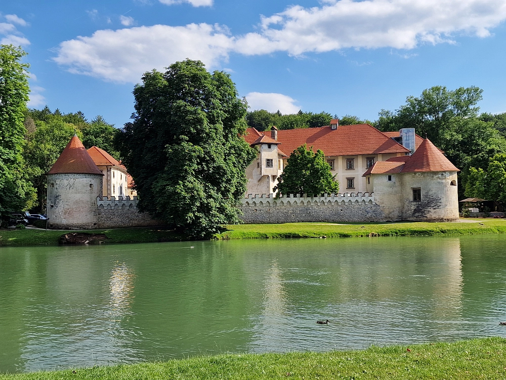 Slika je vidna v Google Chromu.