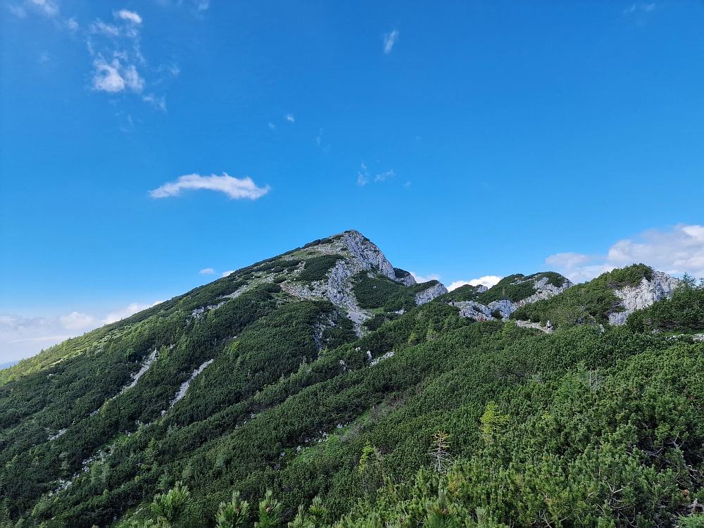 Slika je vidna v Google Chromu.
