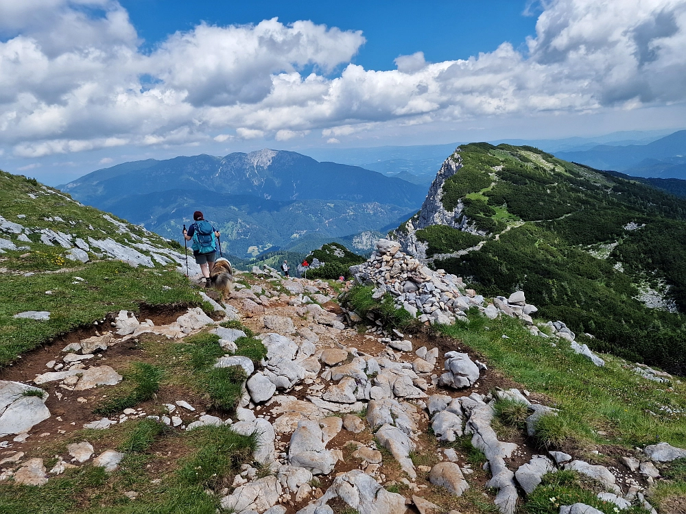 Slika je vidna v Google Chromu.