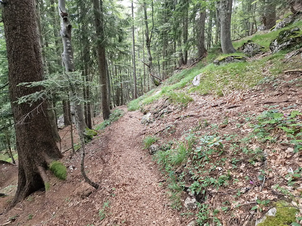 Slika je vidna v Google Chromu.