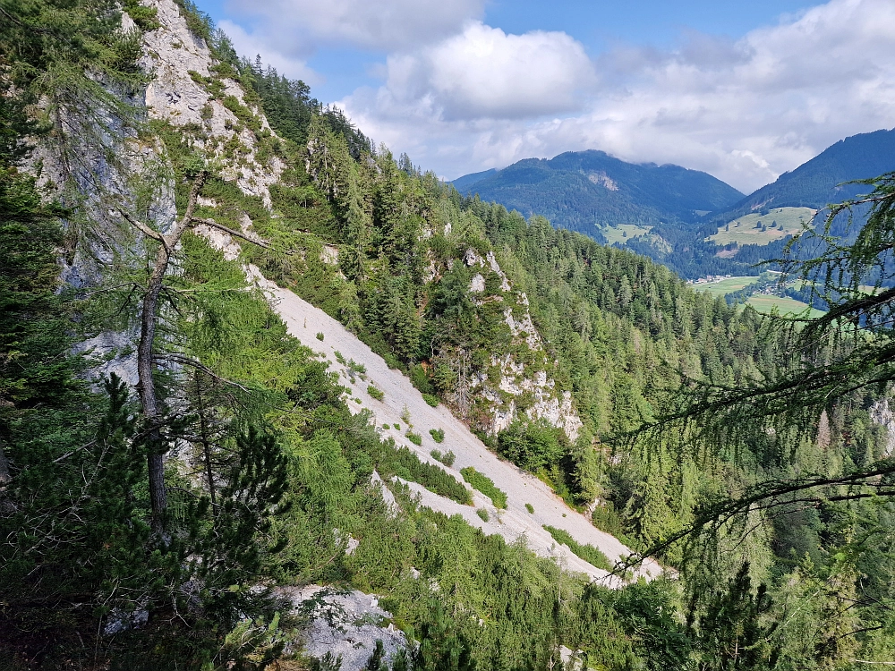 Slika je vidna v Google Chromu.