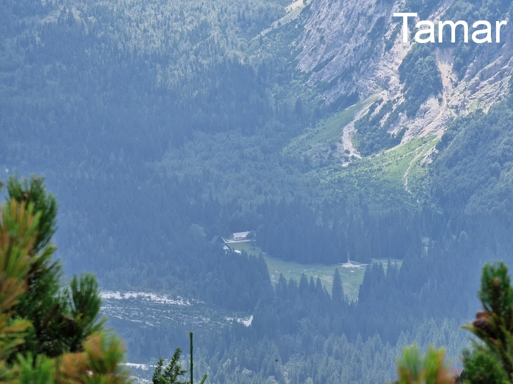 Slika je vidna v Google Chromu.