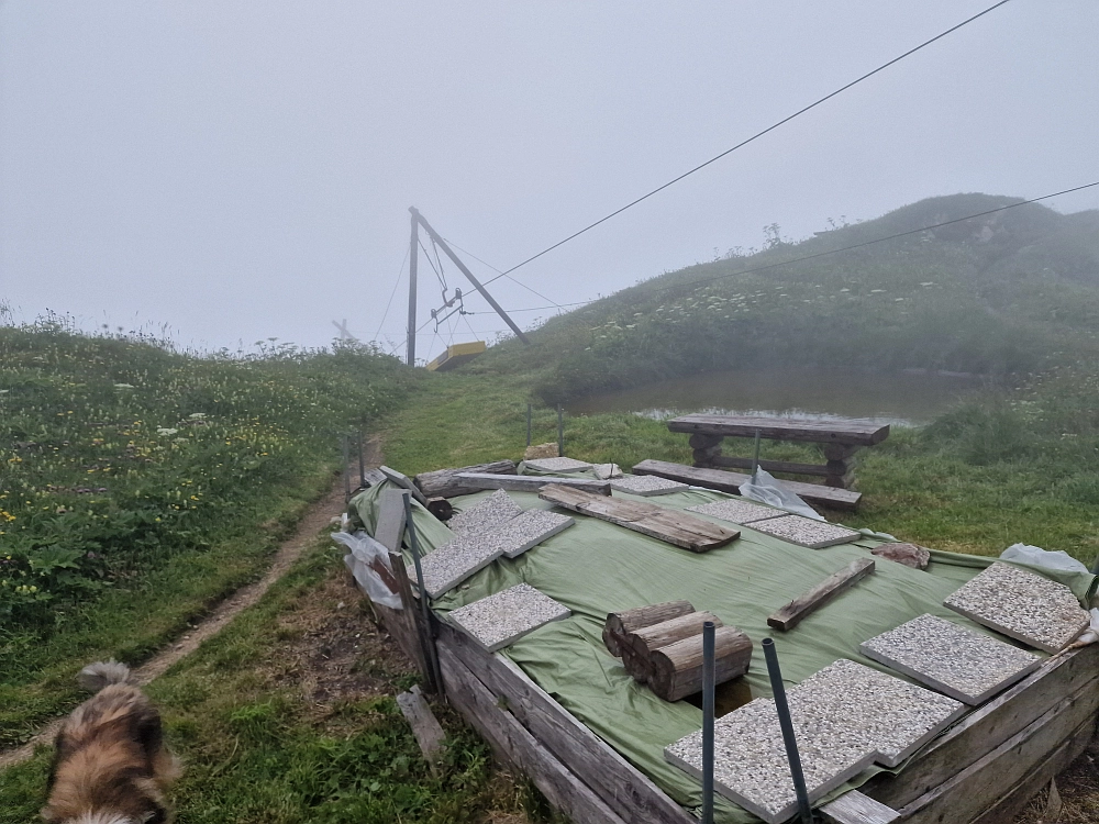 Slika je vidna v Google Chromu.