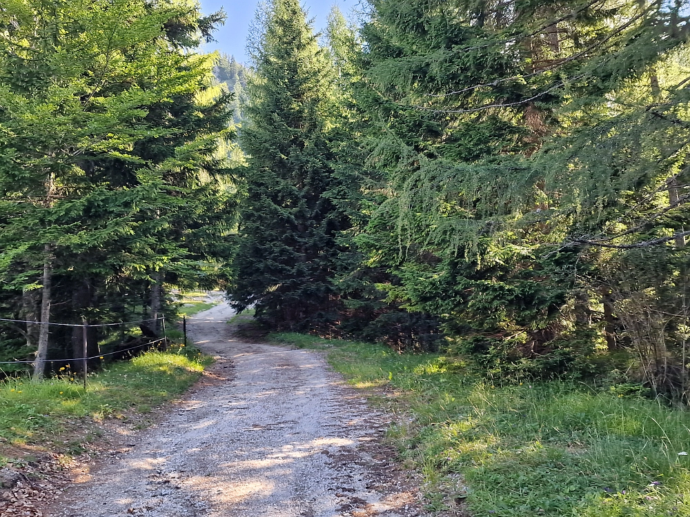 Slika je vidna v Google Chromu.