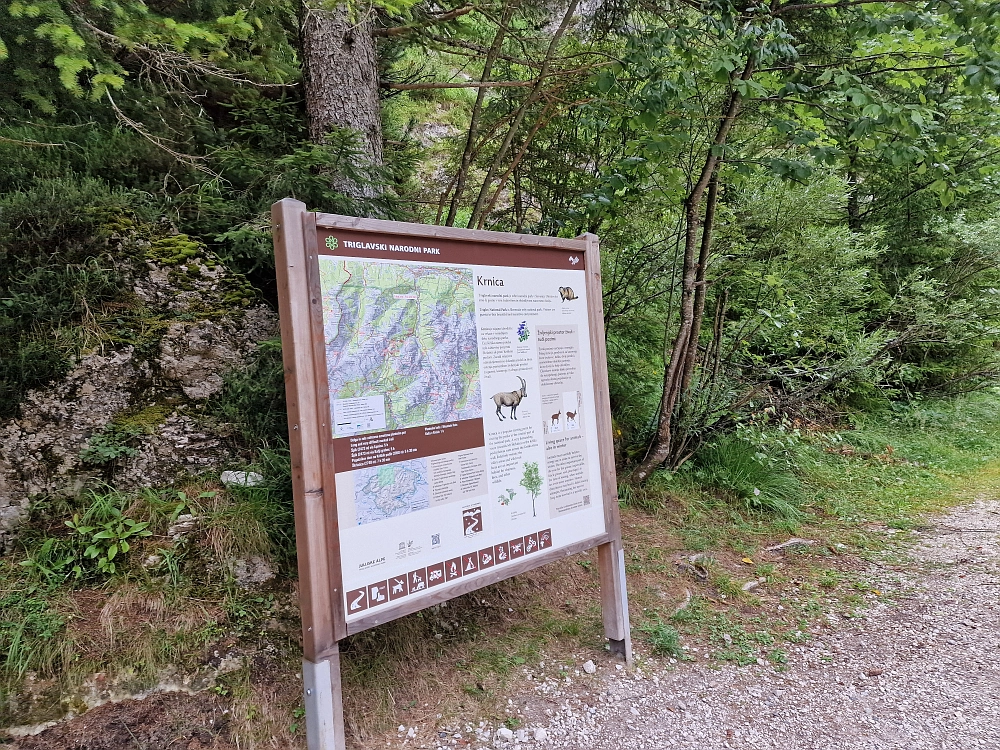 Slika je vidna v Google Chromu.