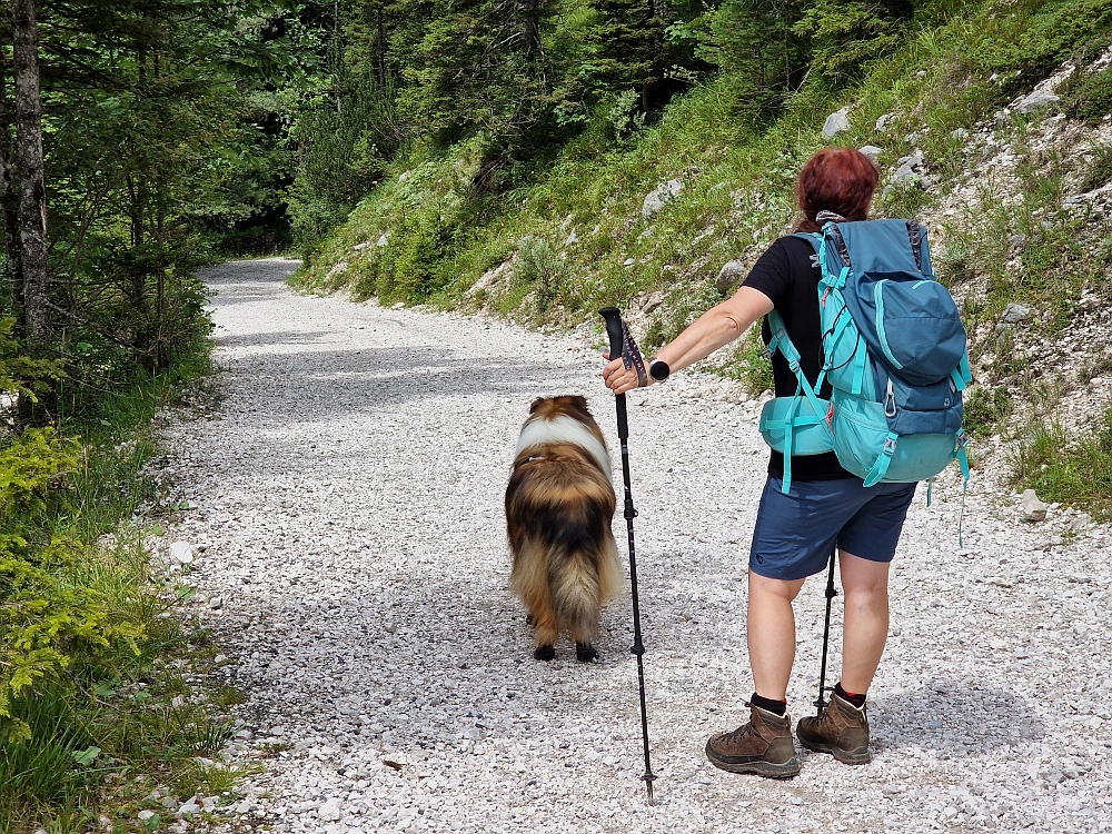 Slika je vidna v Google Chromu.