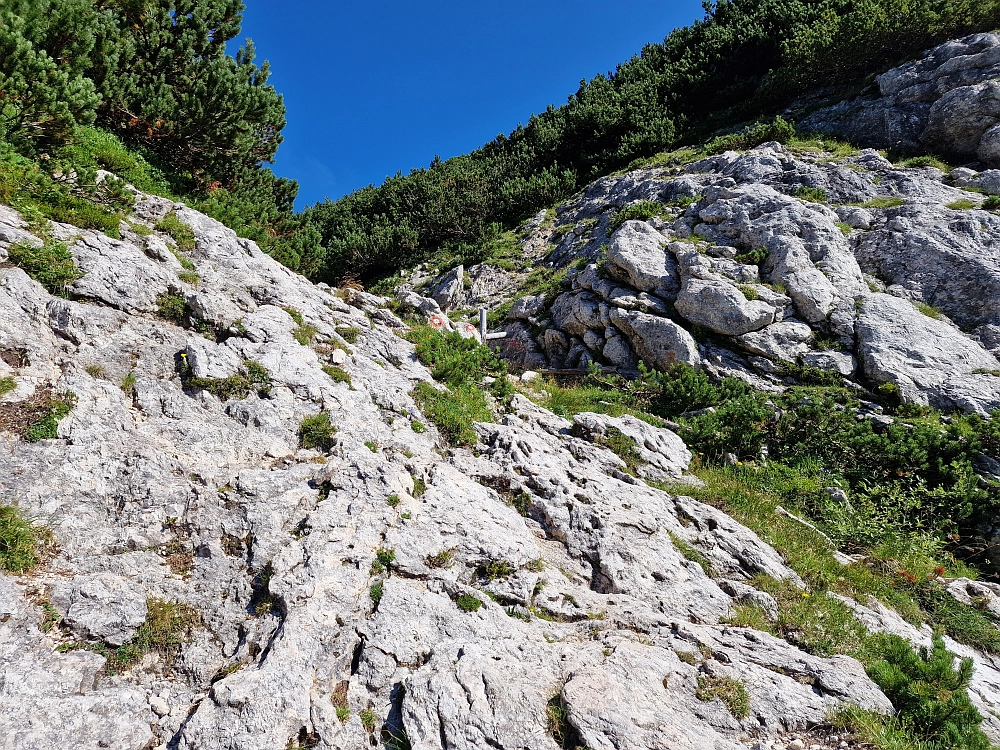 Slika je vidna v Google Chromu.