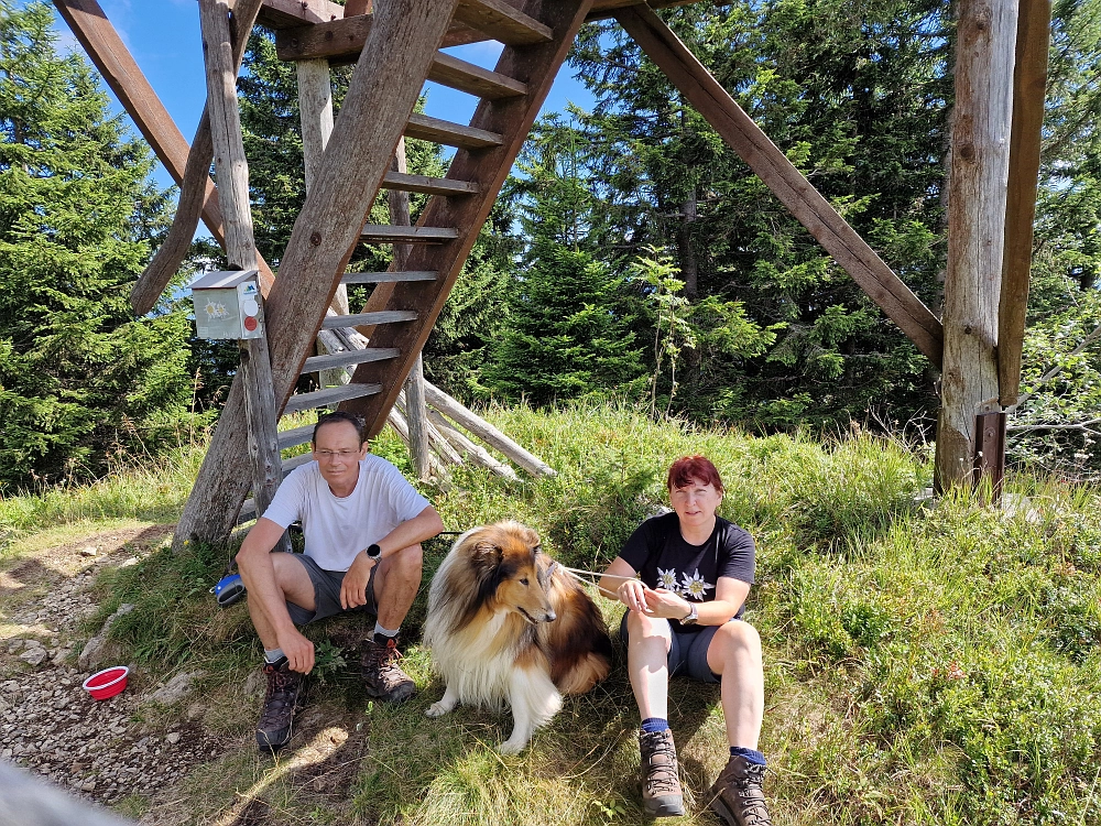 Slika je vidna v Google Chromu.