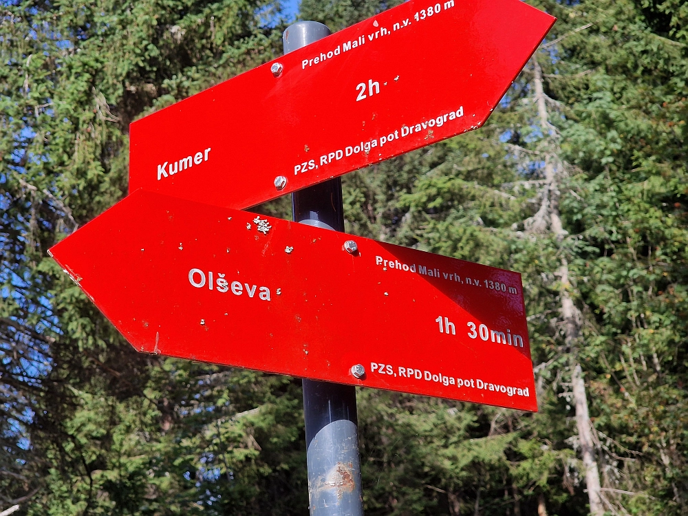 Slika je vidna v Google Chromu.