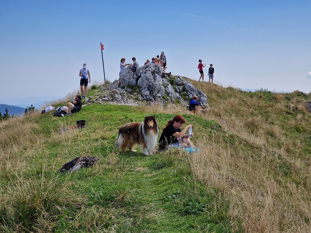 Slika je vidna v Google Chromu.