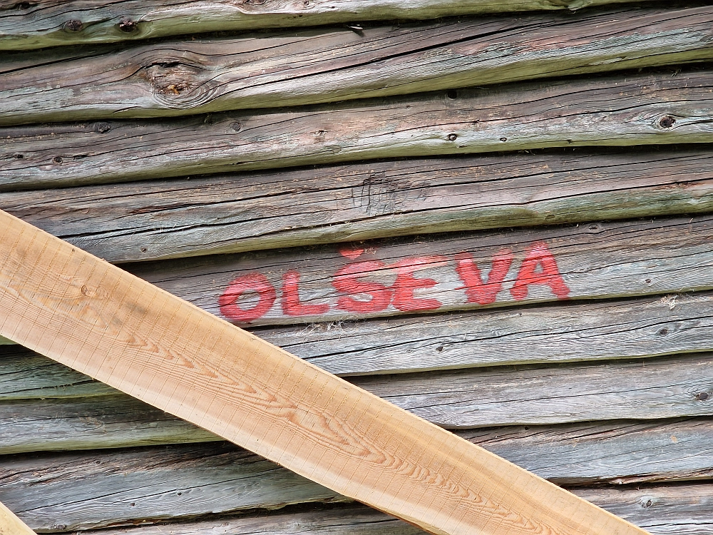 Slika je vidna v Google Chromu.