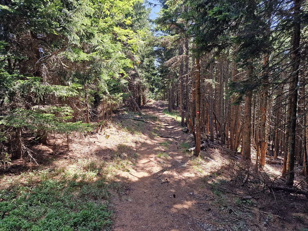 Slika je vidna v Google Chromu.