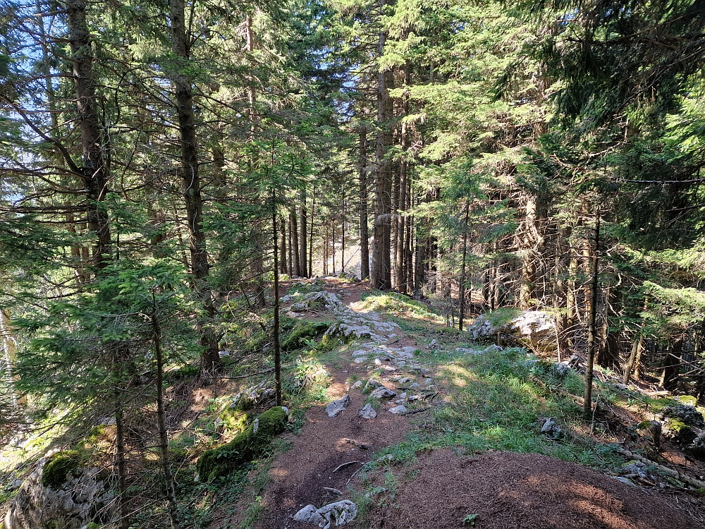 Slika je vidna v Google Chromu.