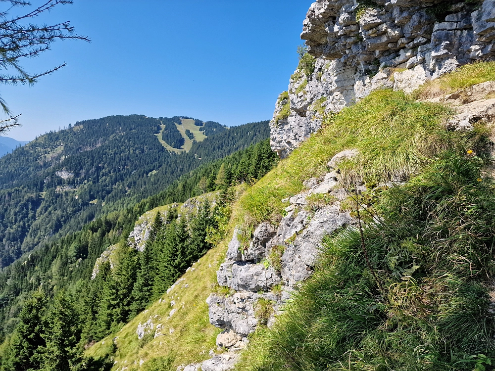 Slika je vidna v Google Chromu.