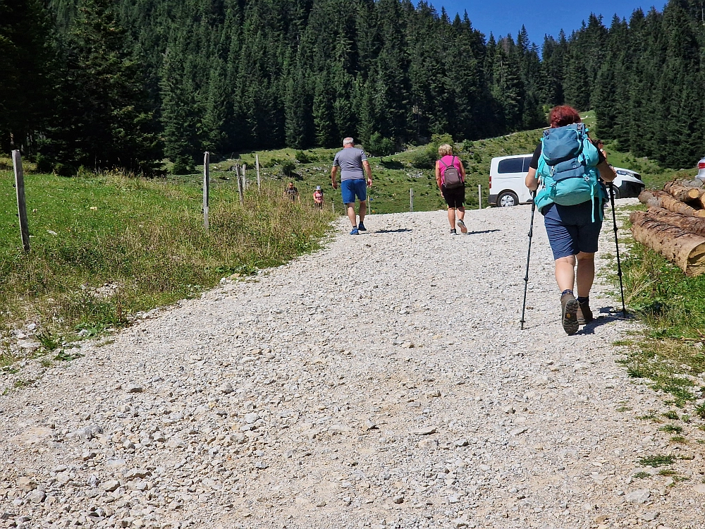 Slika je vidna v Google Chromu.