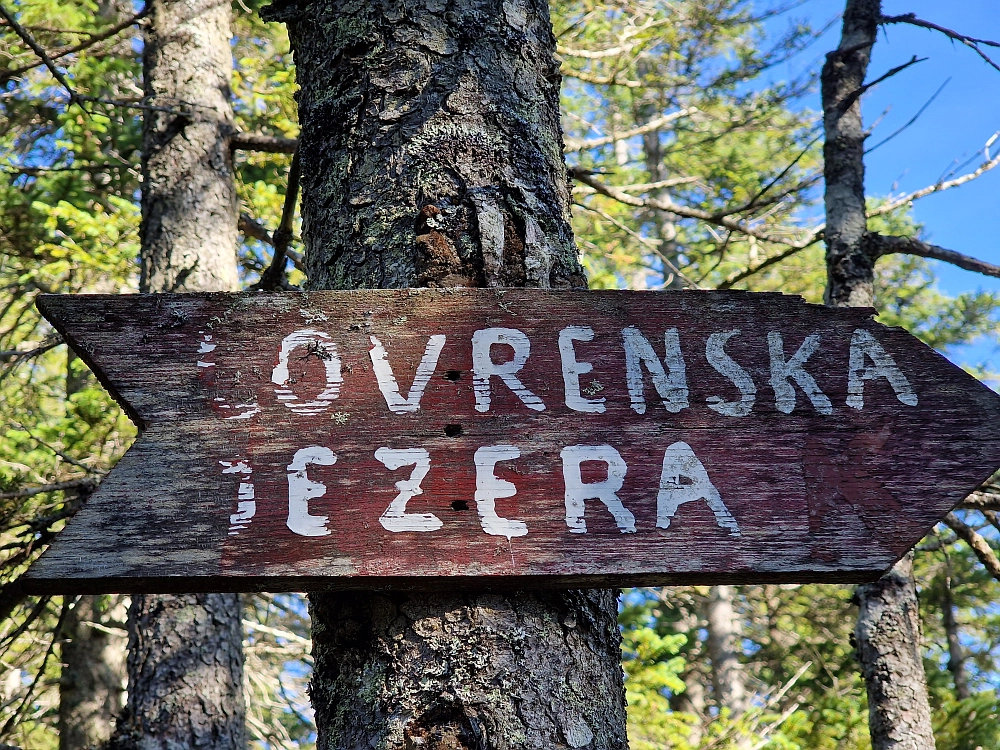 Slika je vidna v Google Chromu.