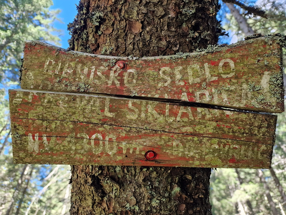 Slika je vidna v Google Chromu.