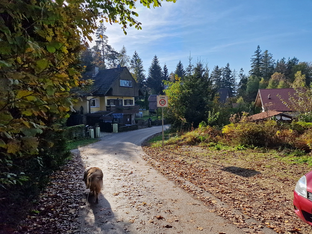 Slika je vidna v Google Chromu.