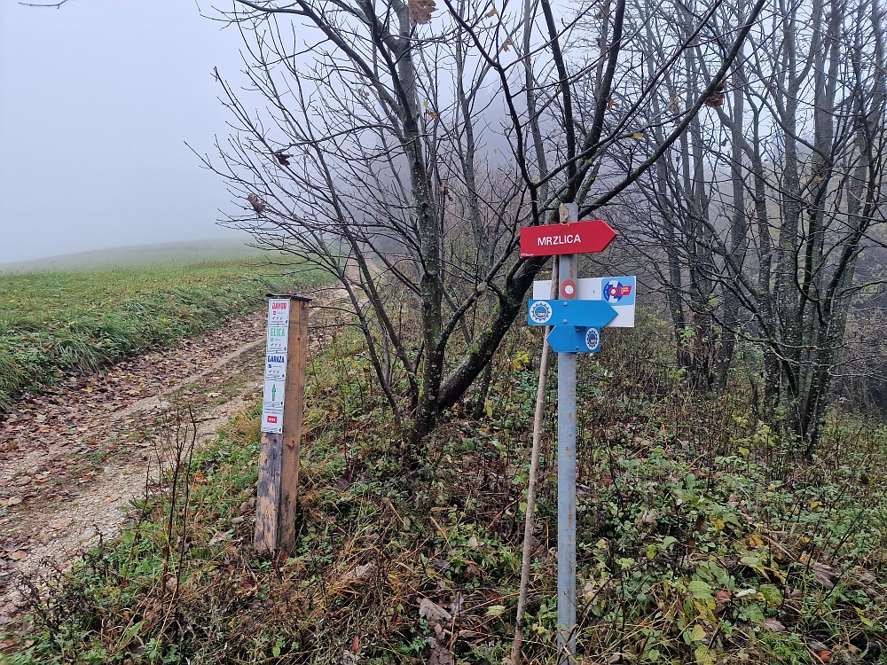 Slika je vidna v Google Chromu.